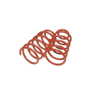 40mm Tieferlegungsfedern BMW 5er Touring mit...